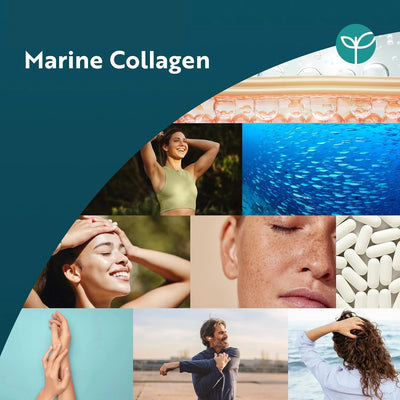 Pure Marine Collagen 1200mg