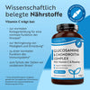 Glucosamine Chondroitin