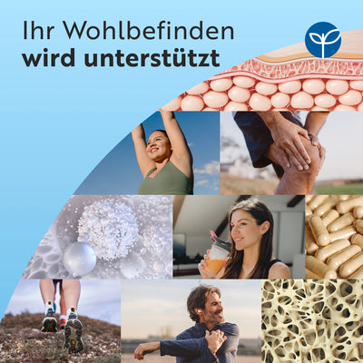 Glucosamine Chondroitin